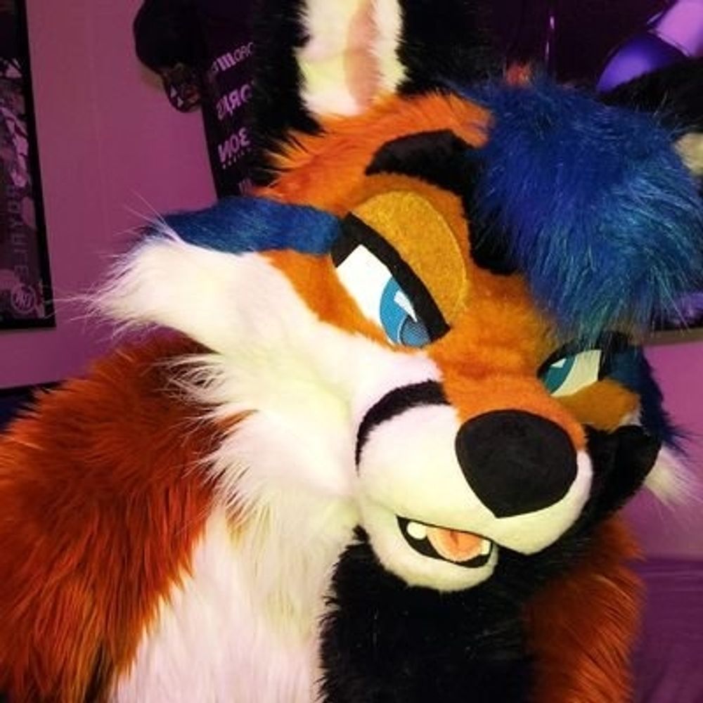 SD Fox