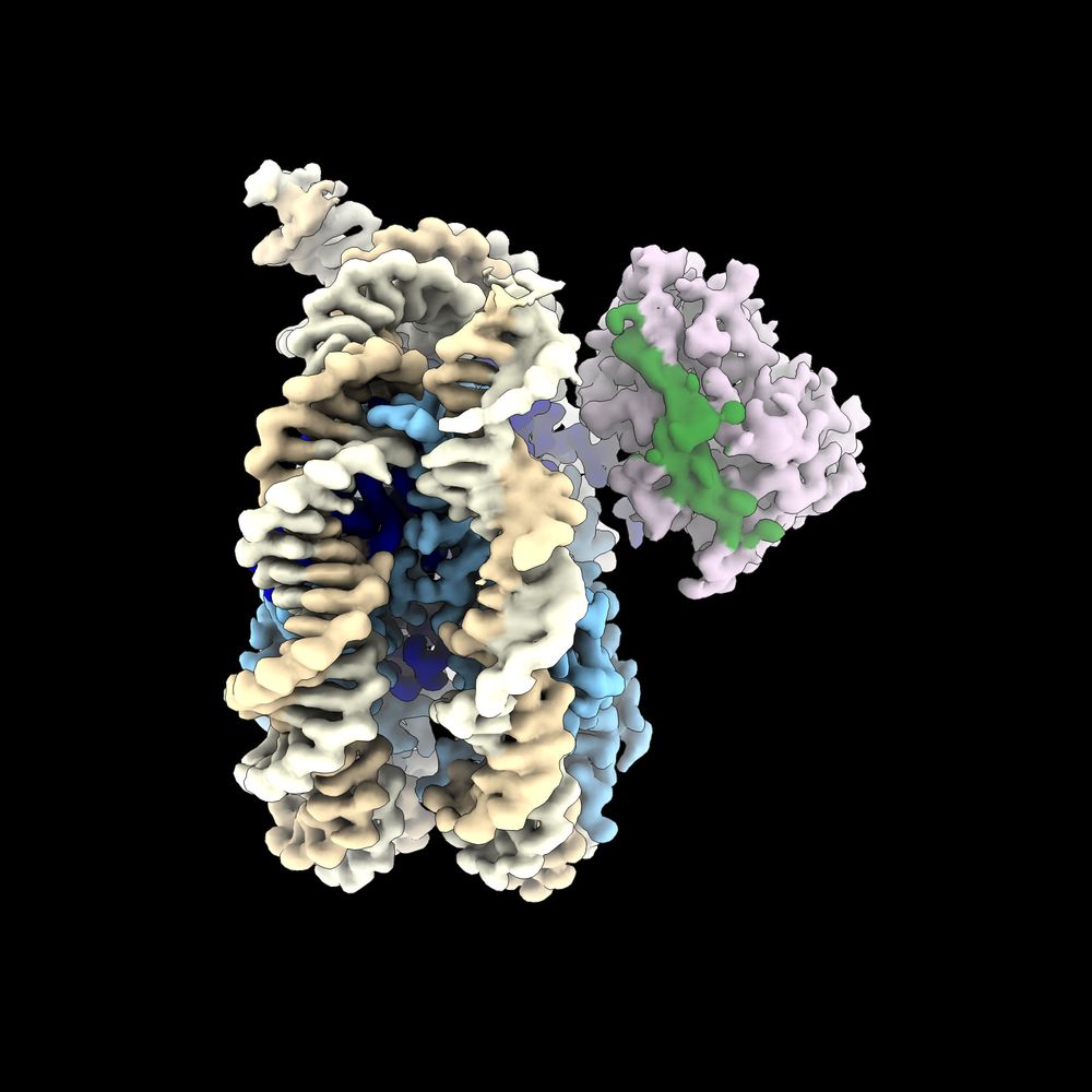 Bleichert Lab