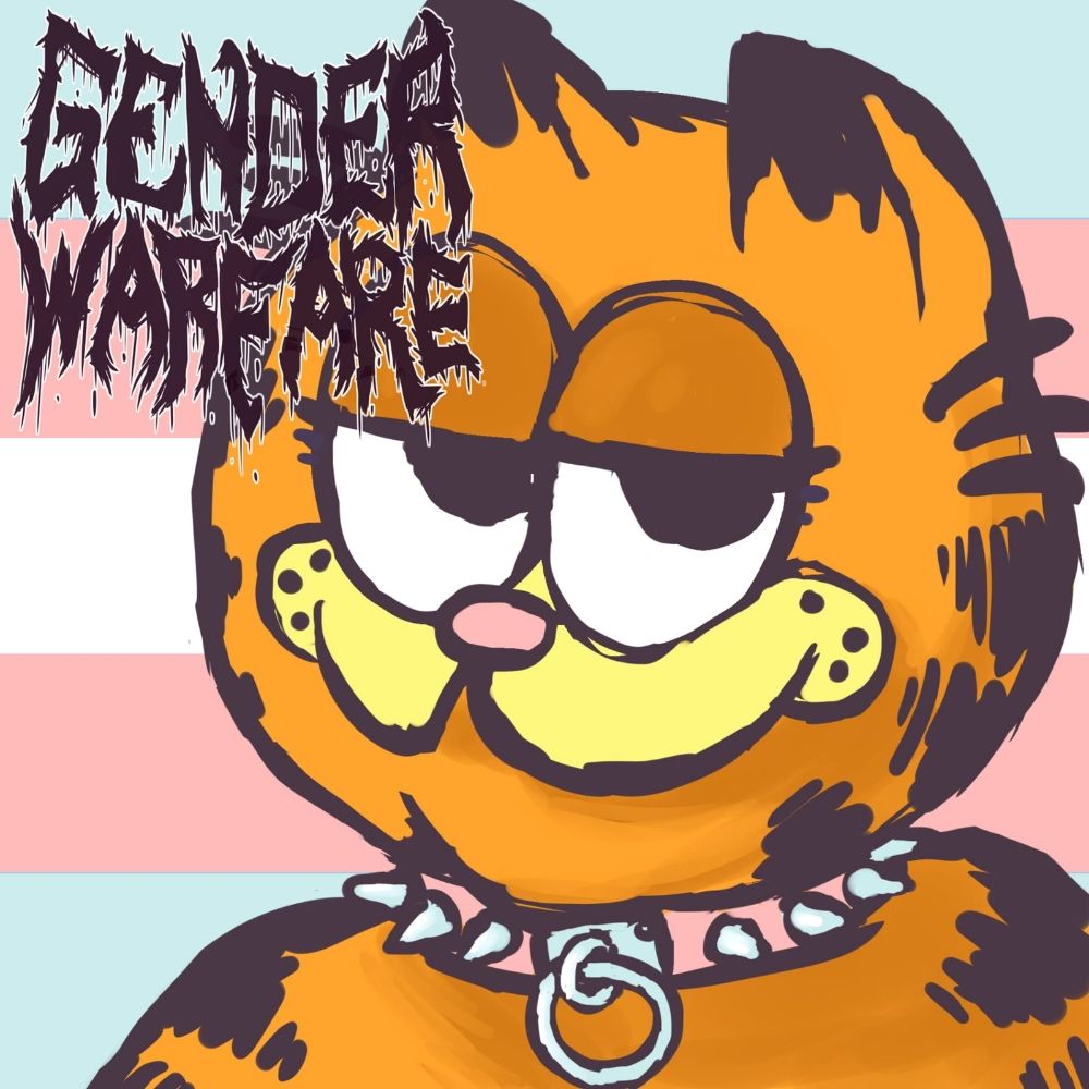 GENDER WARFARE