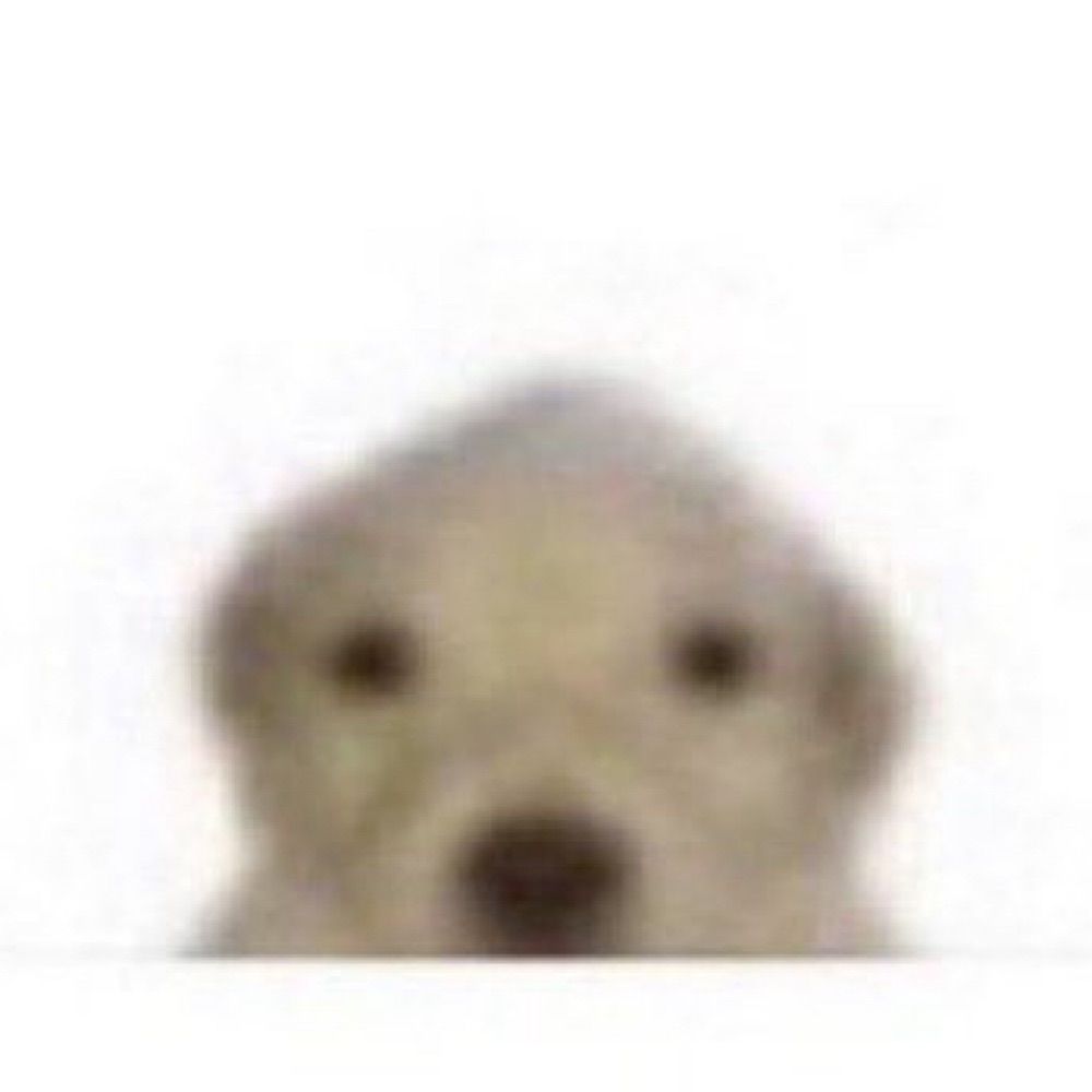 꾼