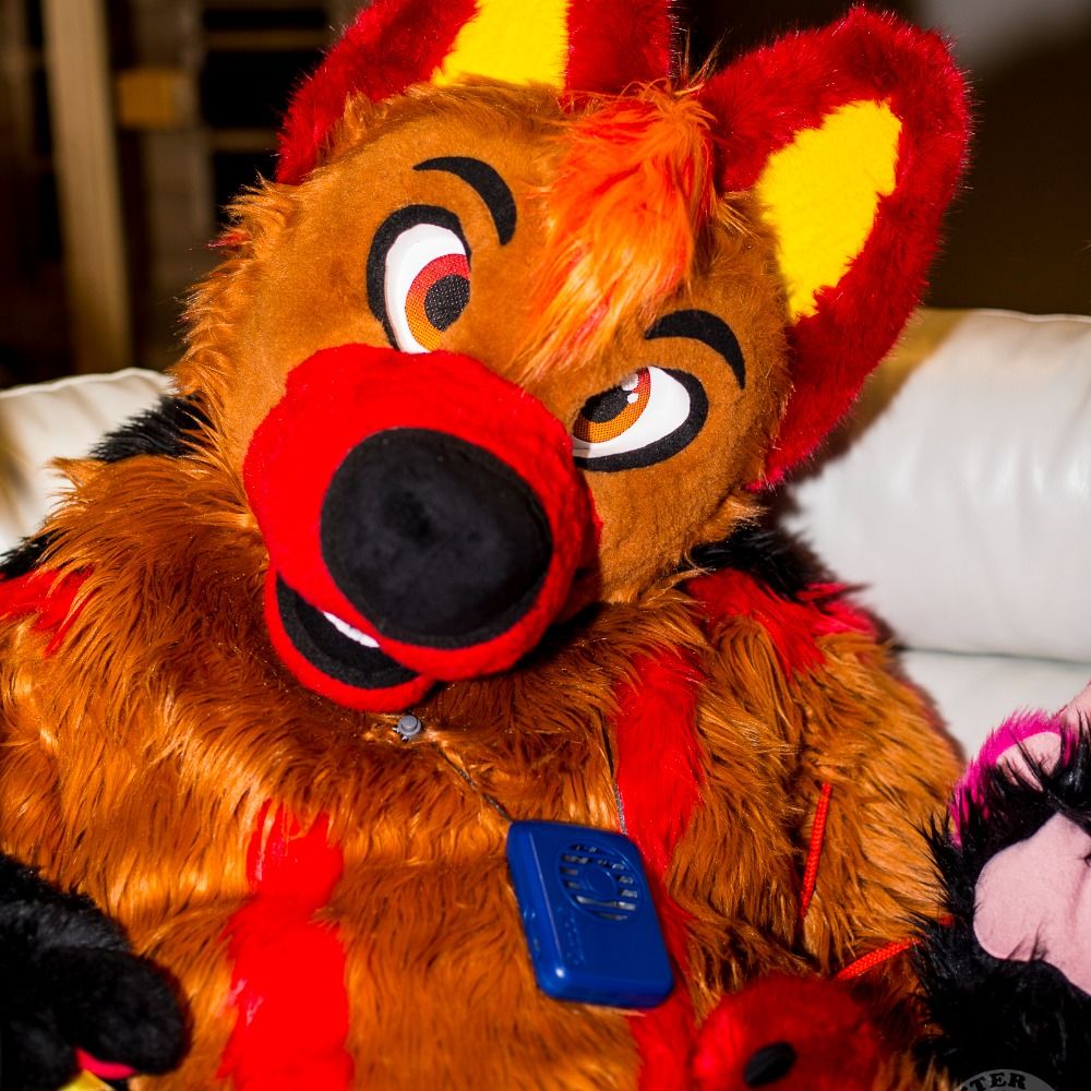 Blaze Shepherd