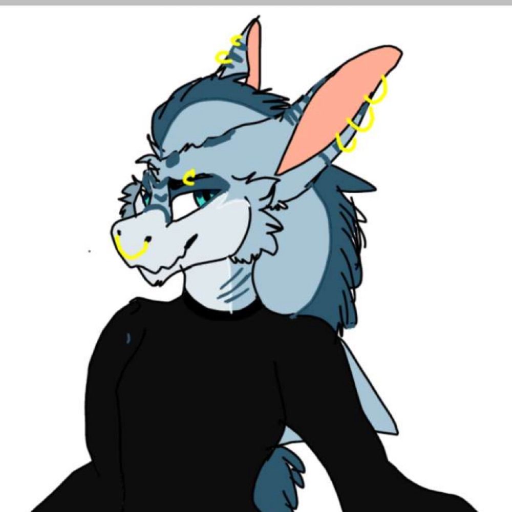 Zailarus