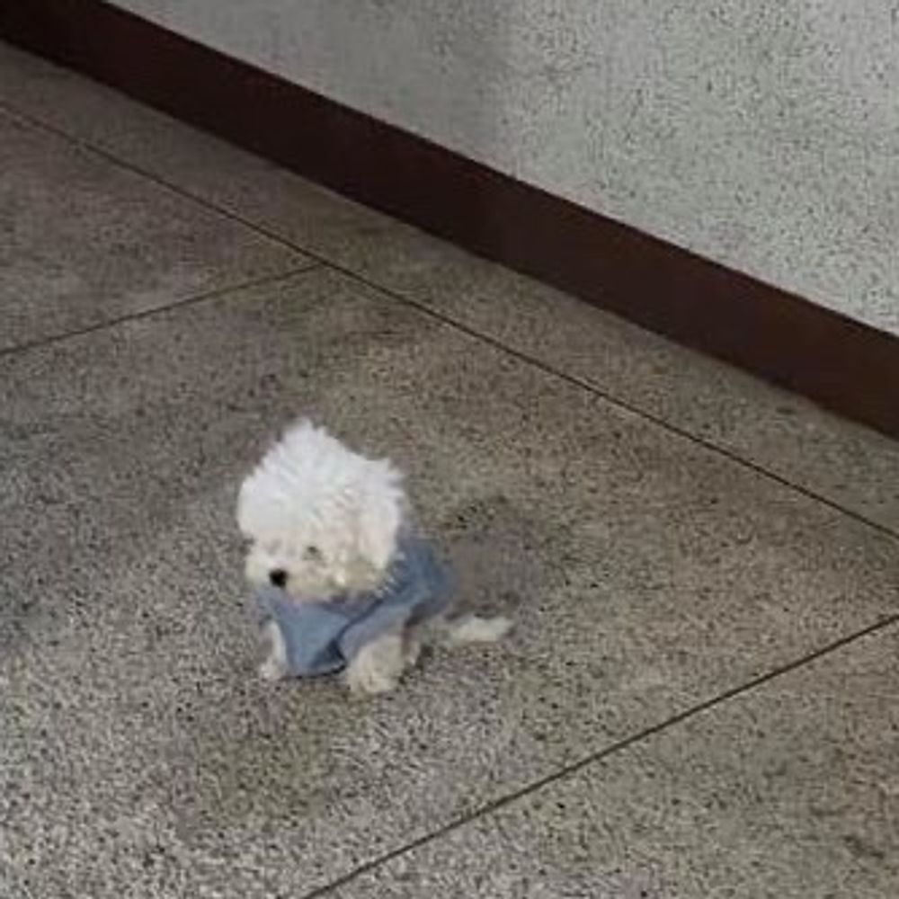 珠恩