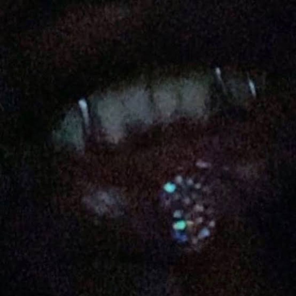rxxkstar 🤥