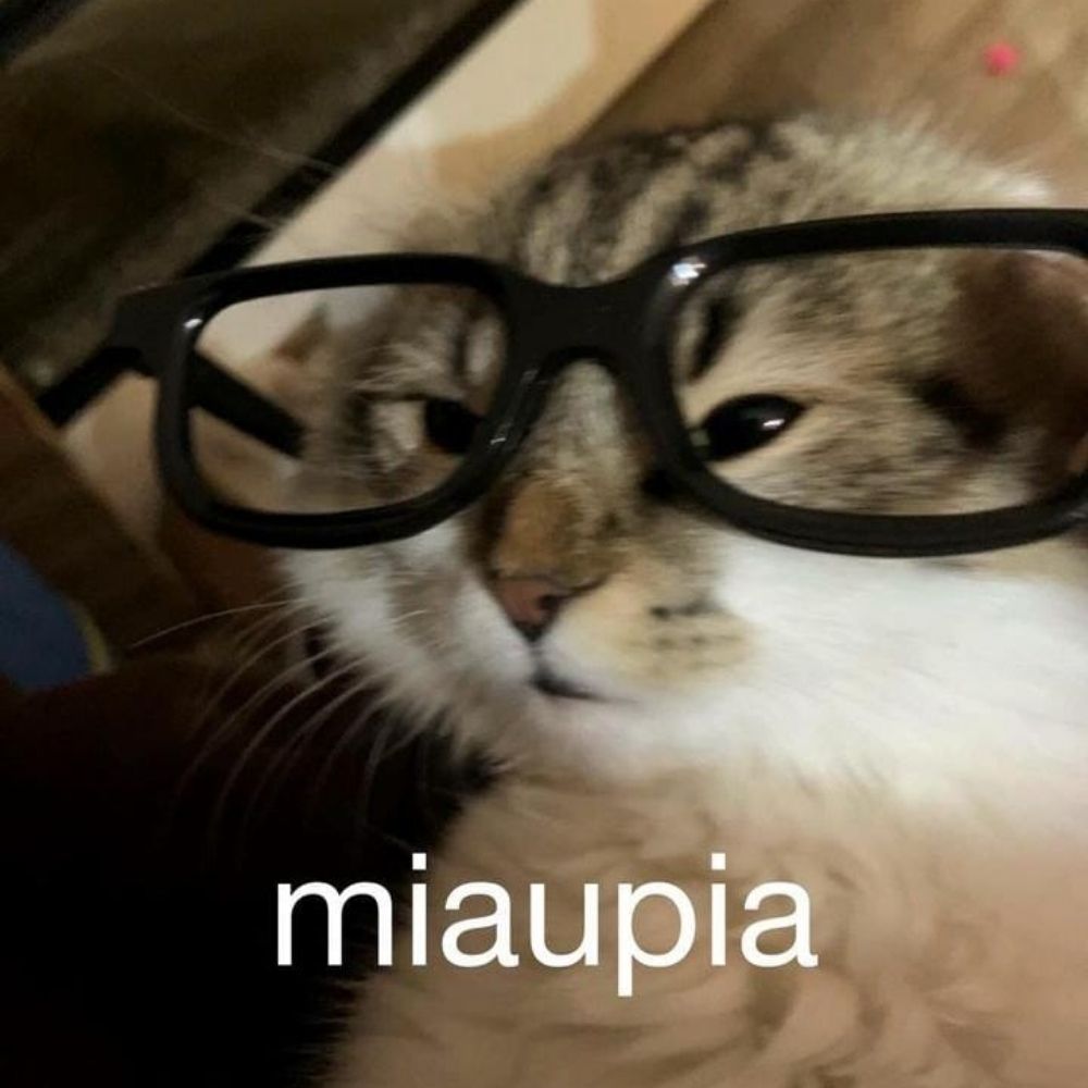 veneninhu'-'