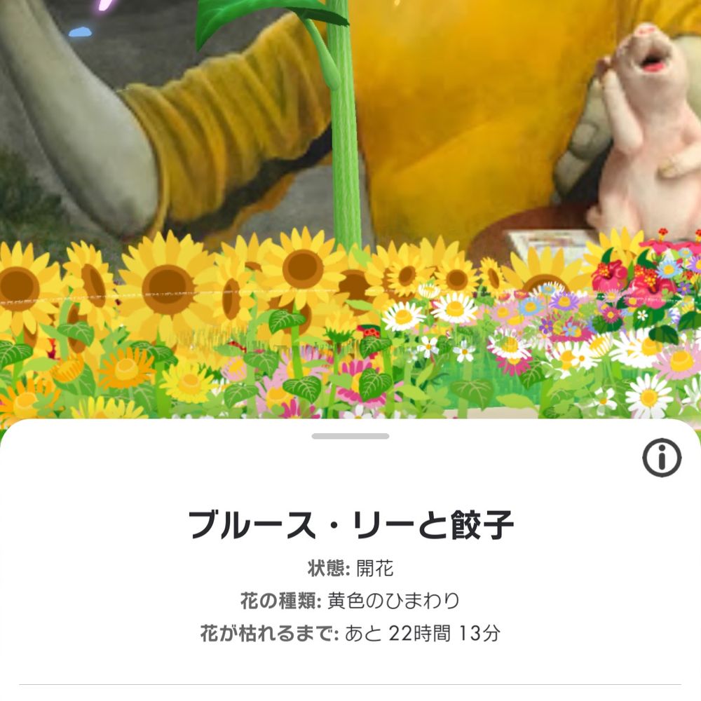 ハ院