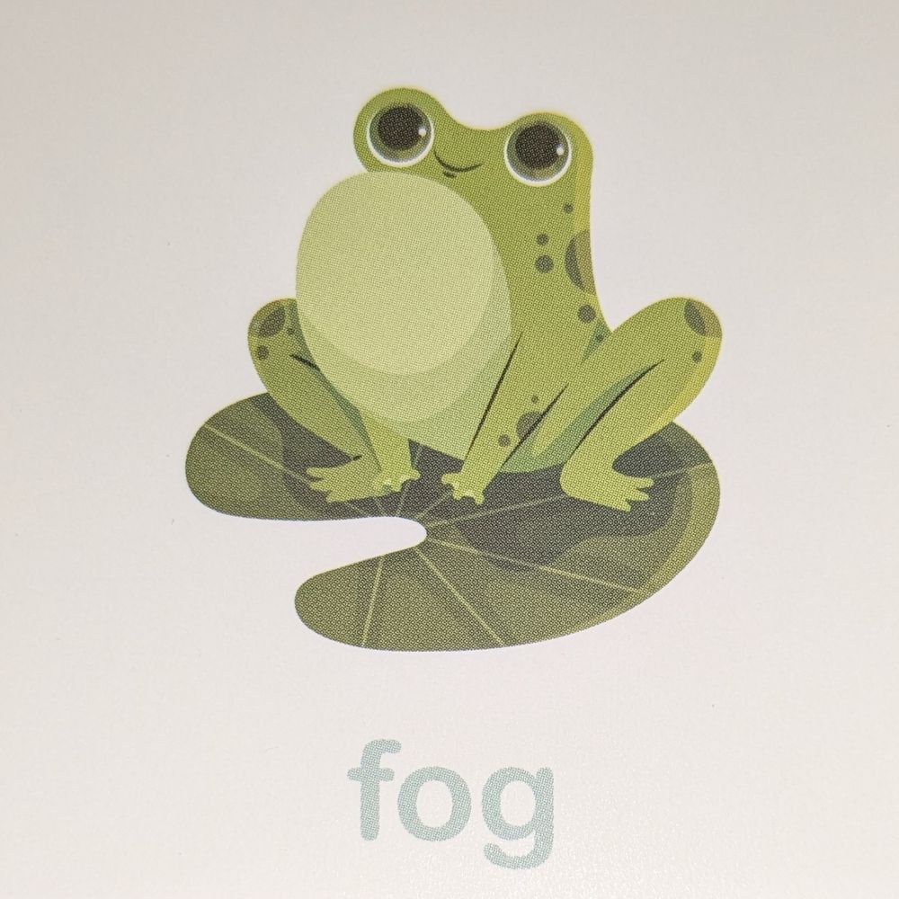 Fog