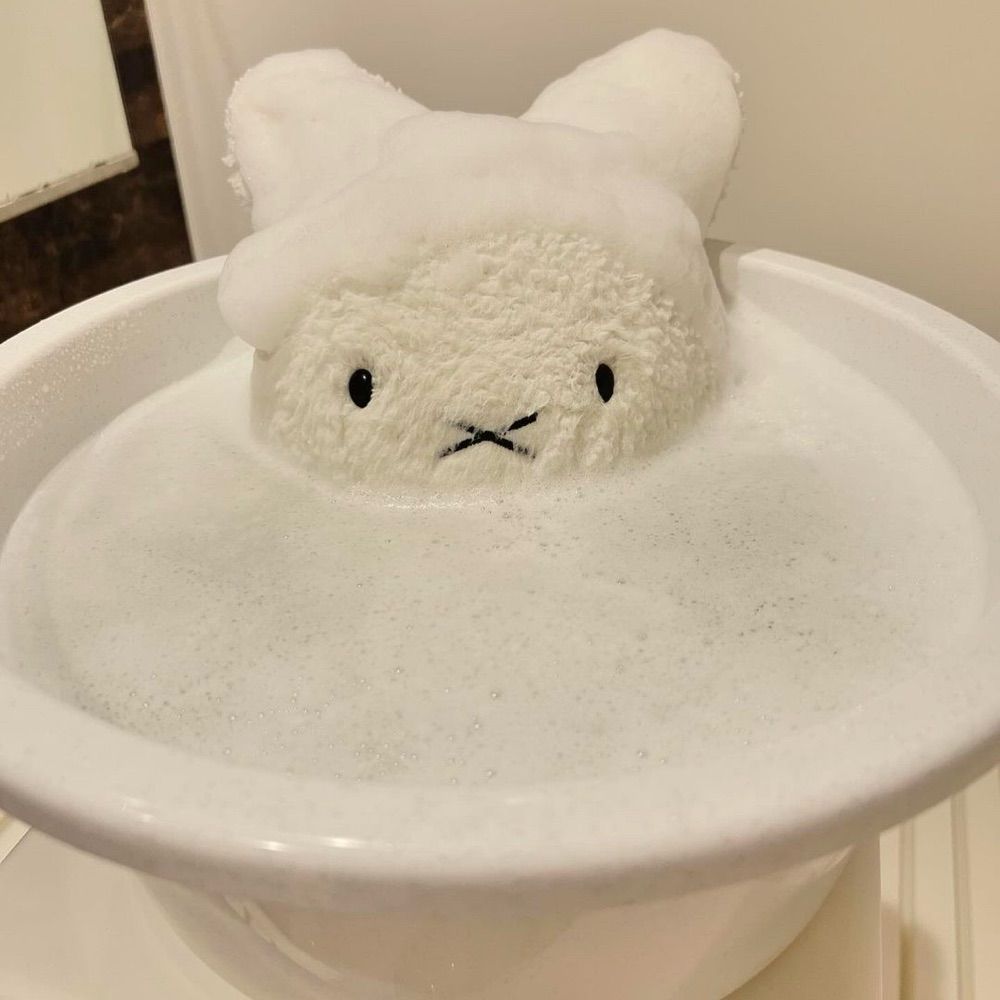 みーてぃ🐇