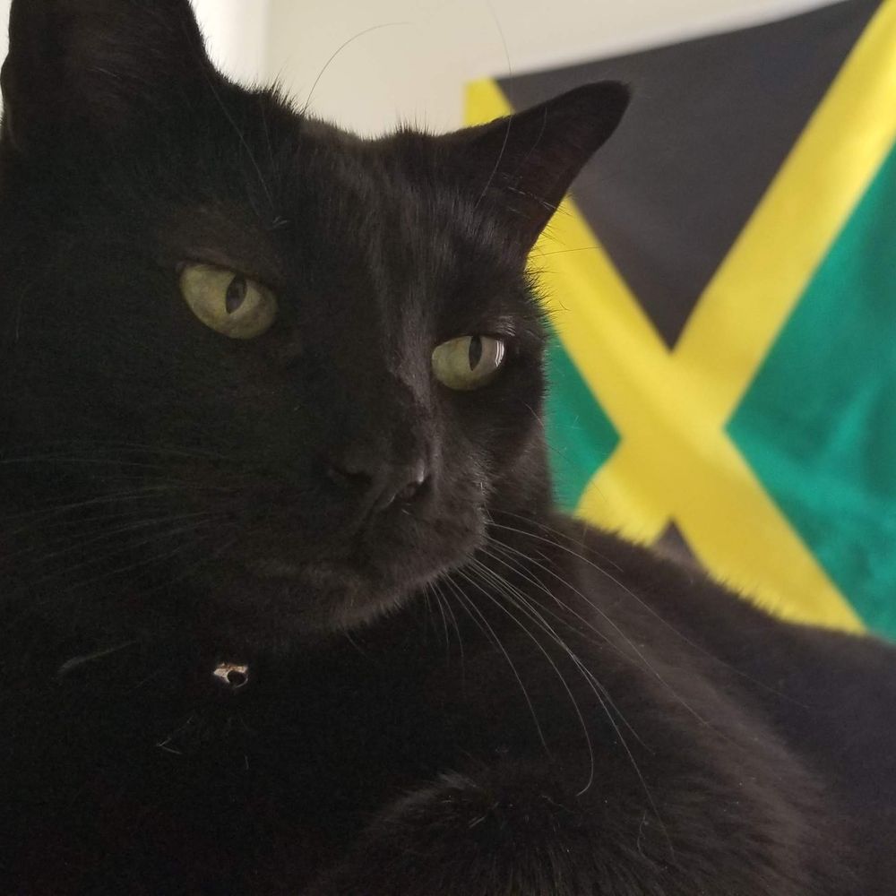 Ali