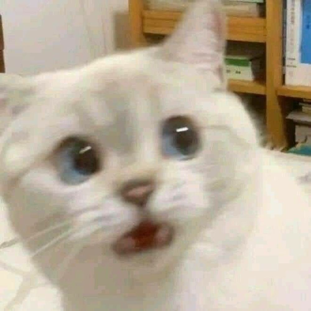 마티