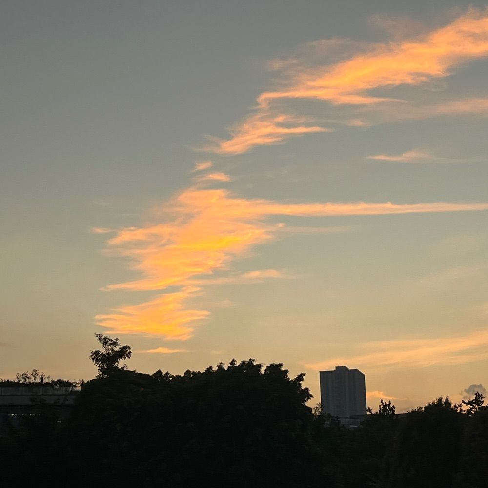 夫夫