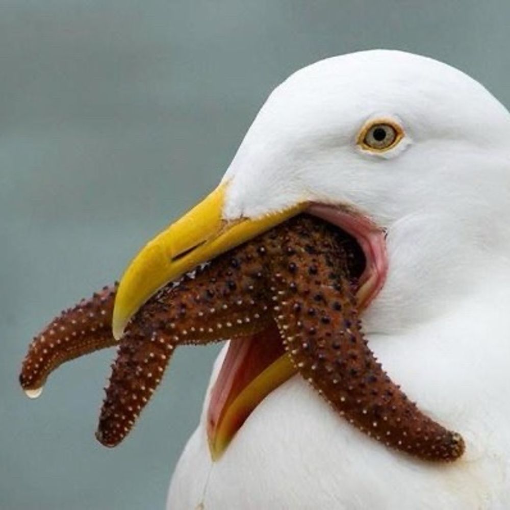 3まるこ