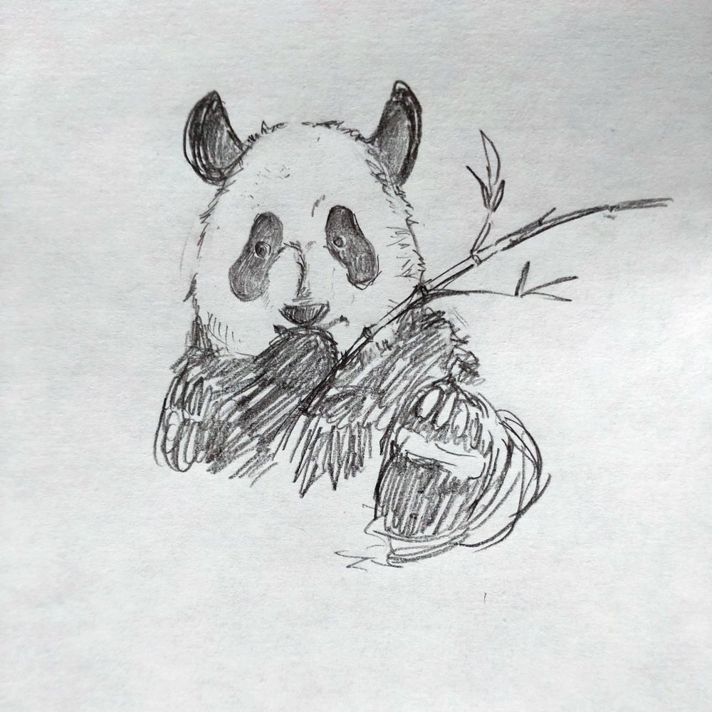 メリー
