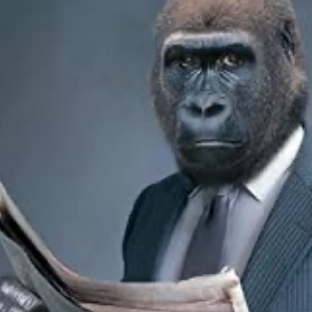 thereadingape.com