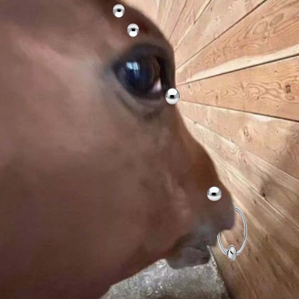 𝔙𝔢𝔯𝔪𝔦𝔫