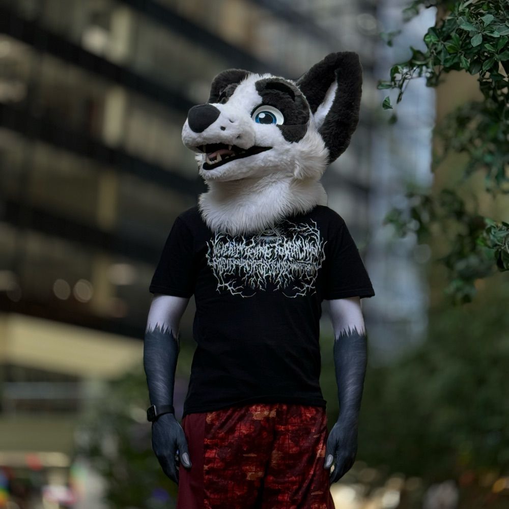Kini the Fox