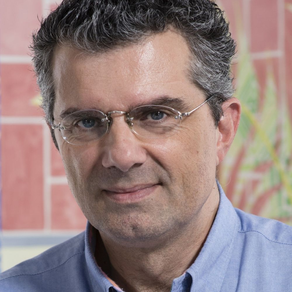 Yannis Koutsomitis