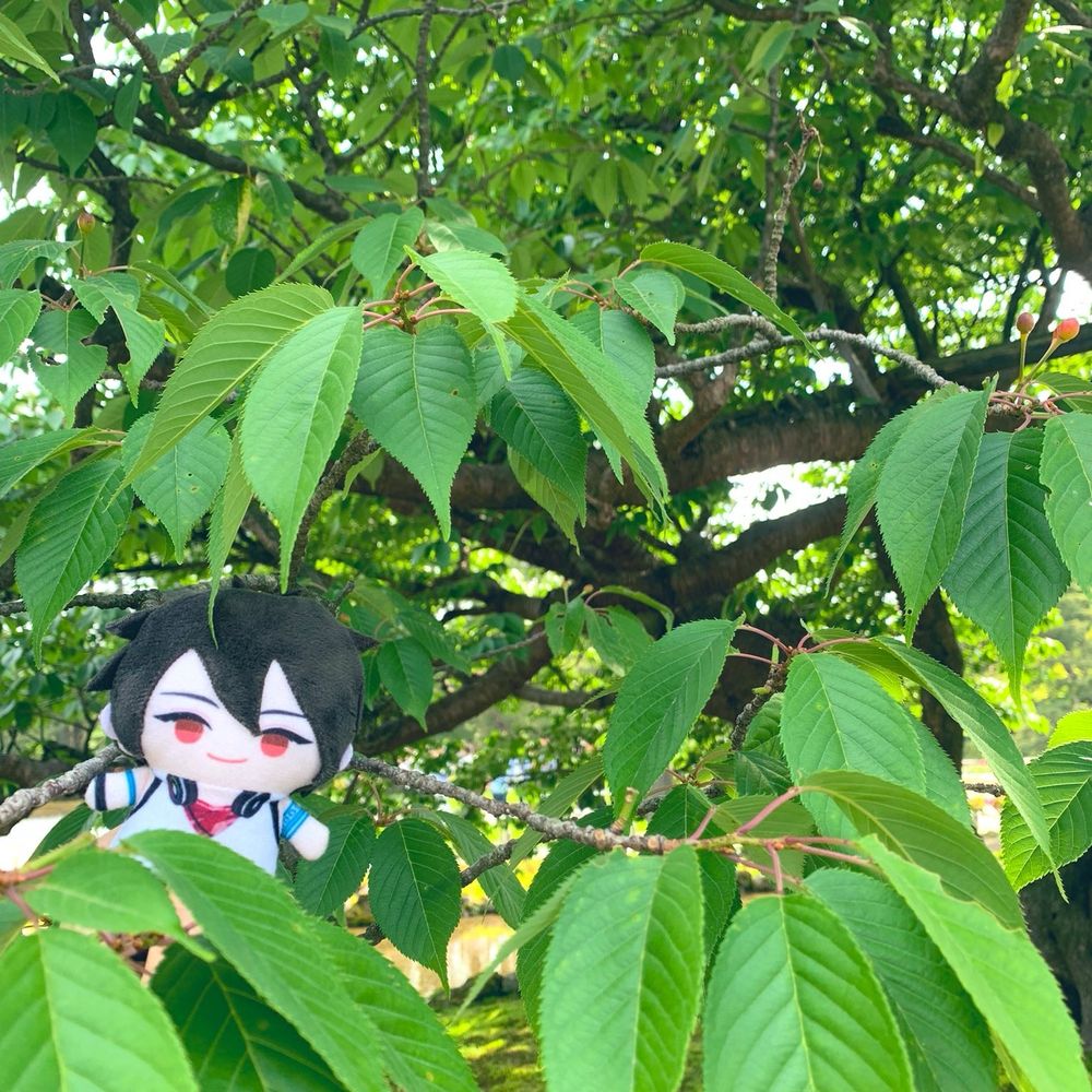 脳内お花畑