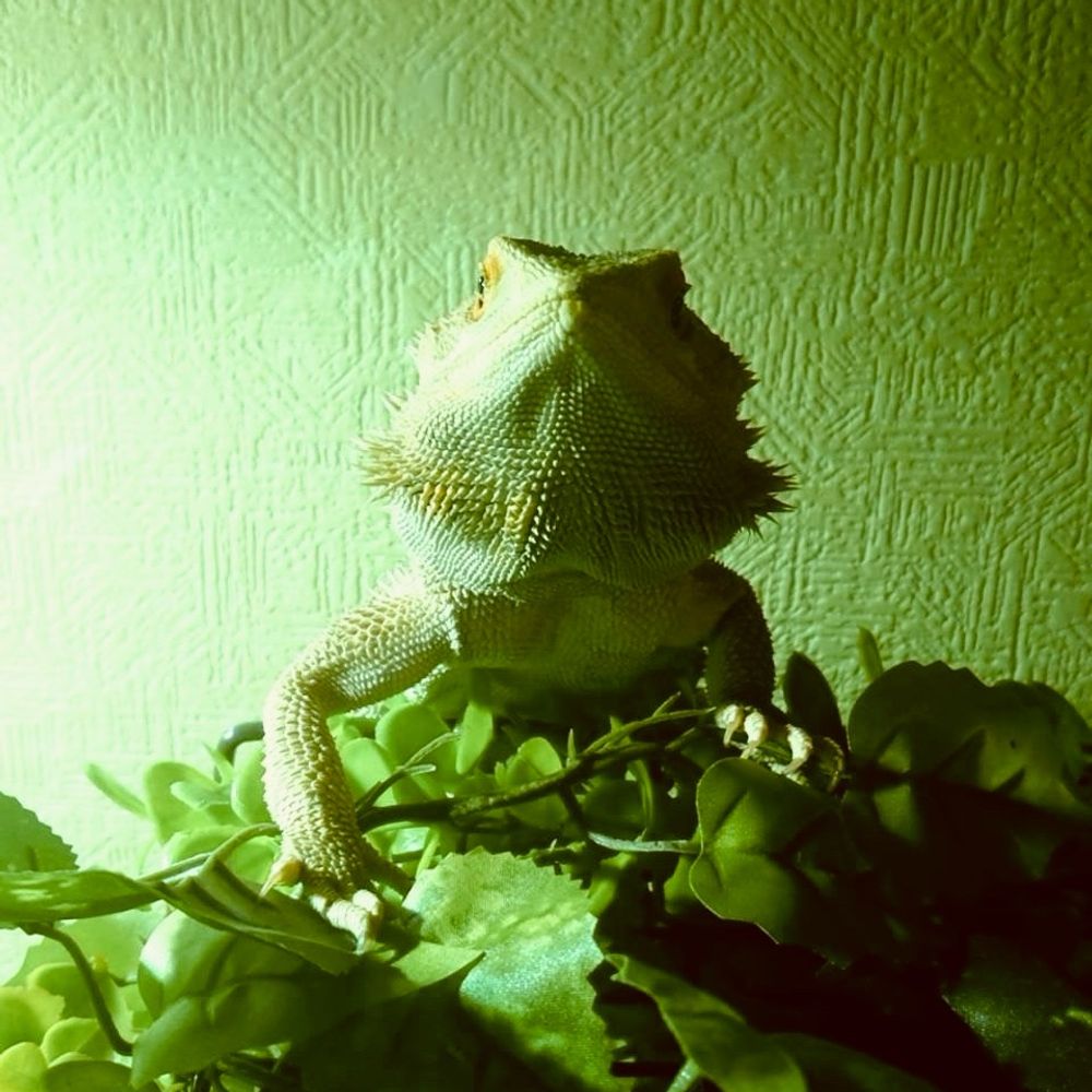 ふみたろ