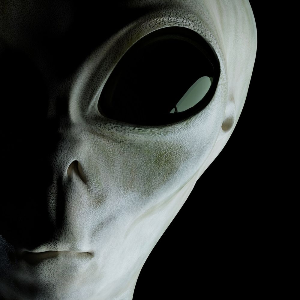 CONST-X12V "ALIEN"