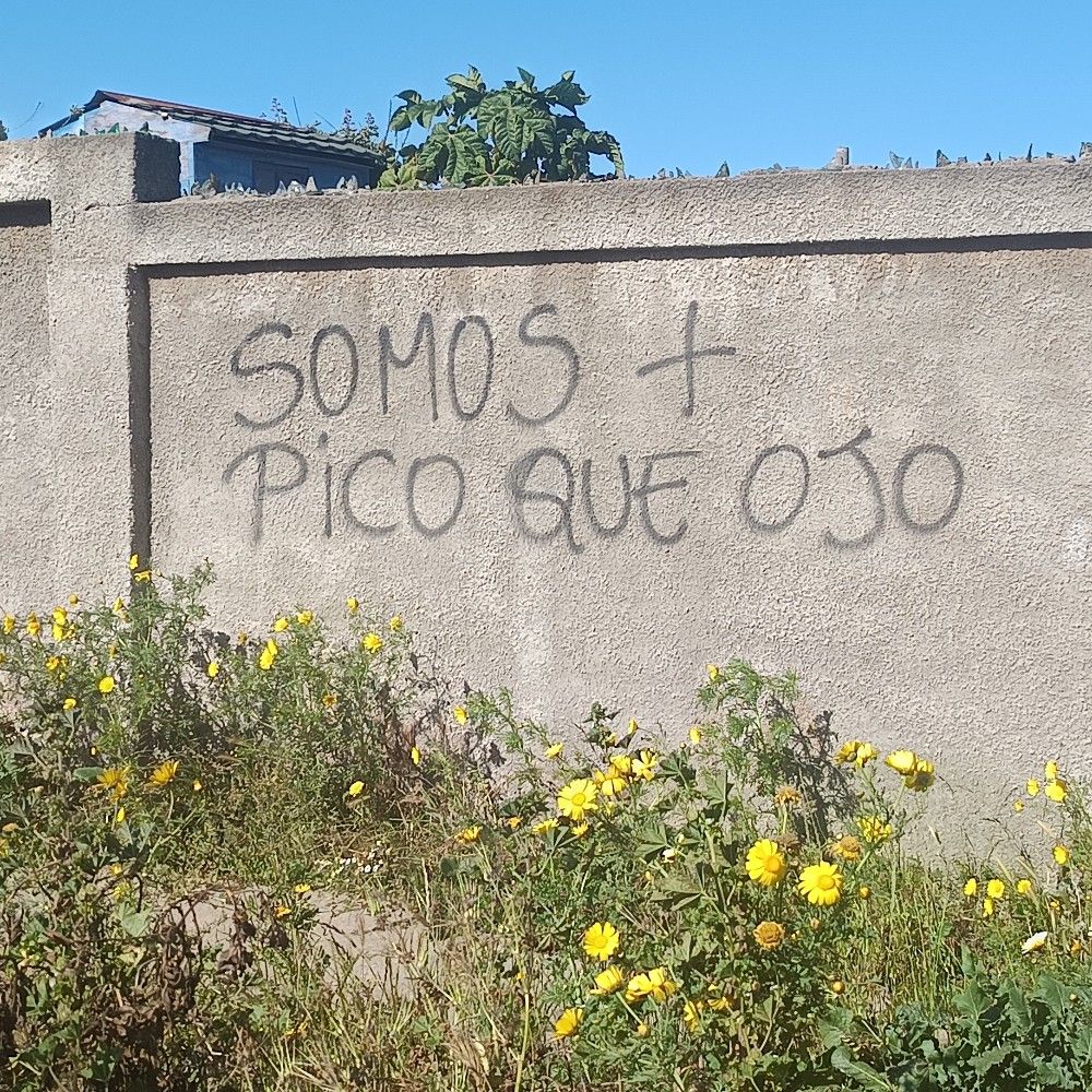 Sapeo Intenso