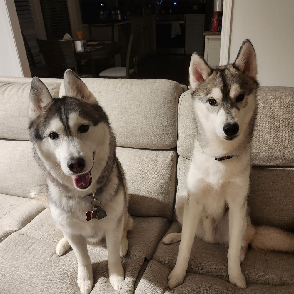 CheesyPuffs