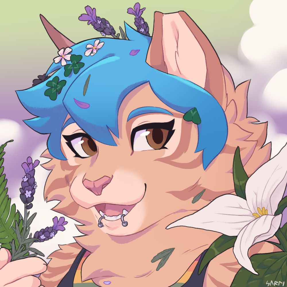AlterKitten