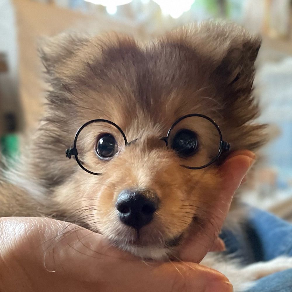 ℝ𝕒𝕞𝕔𝕙𝕒𝕟