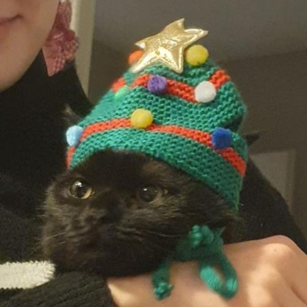 Doku
