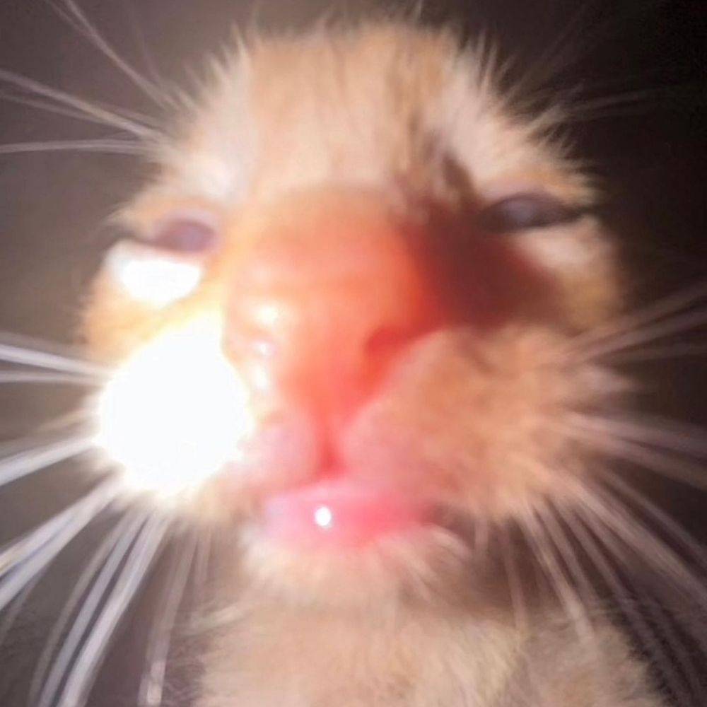 aqn