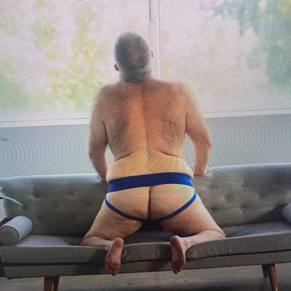 BiDaddyBear