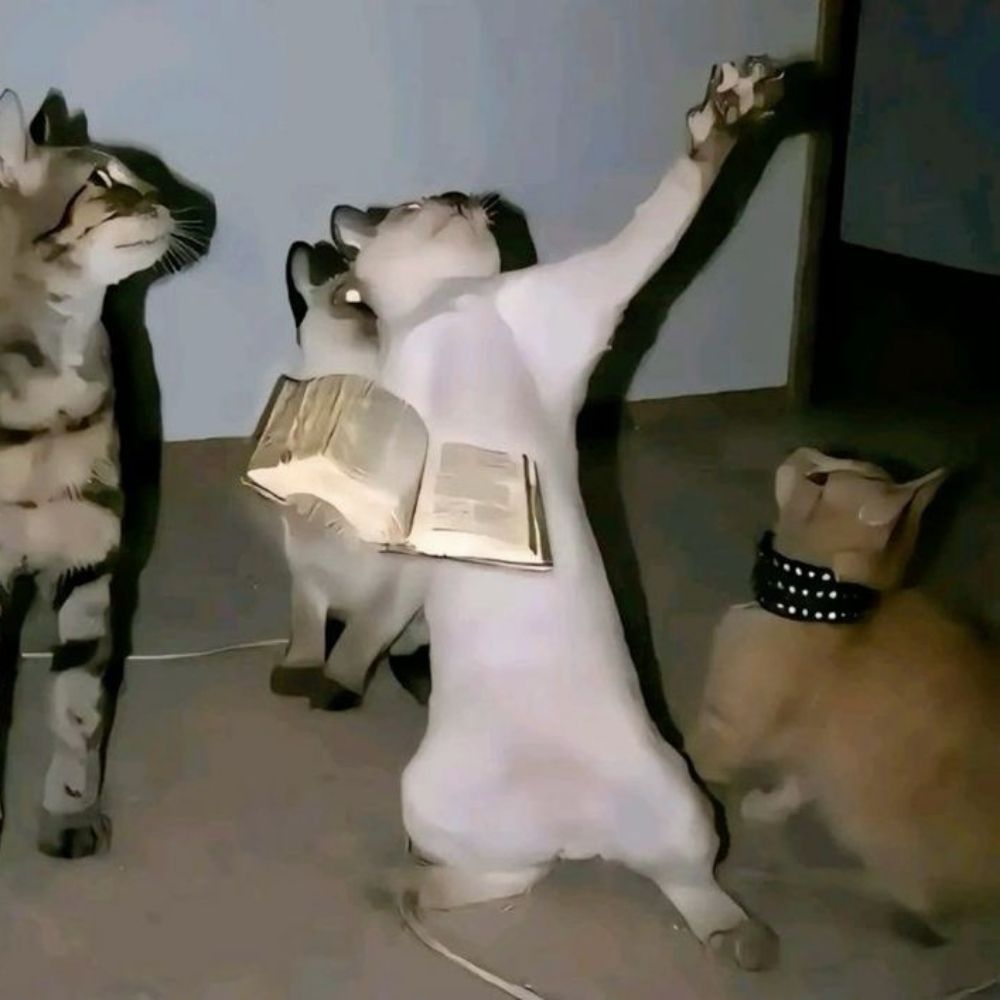 demtrio