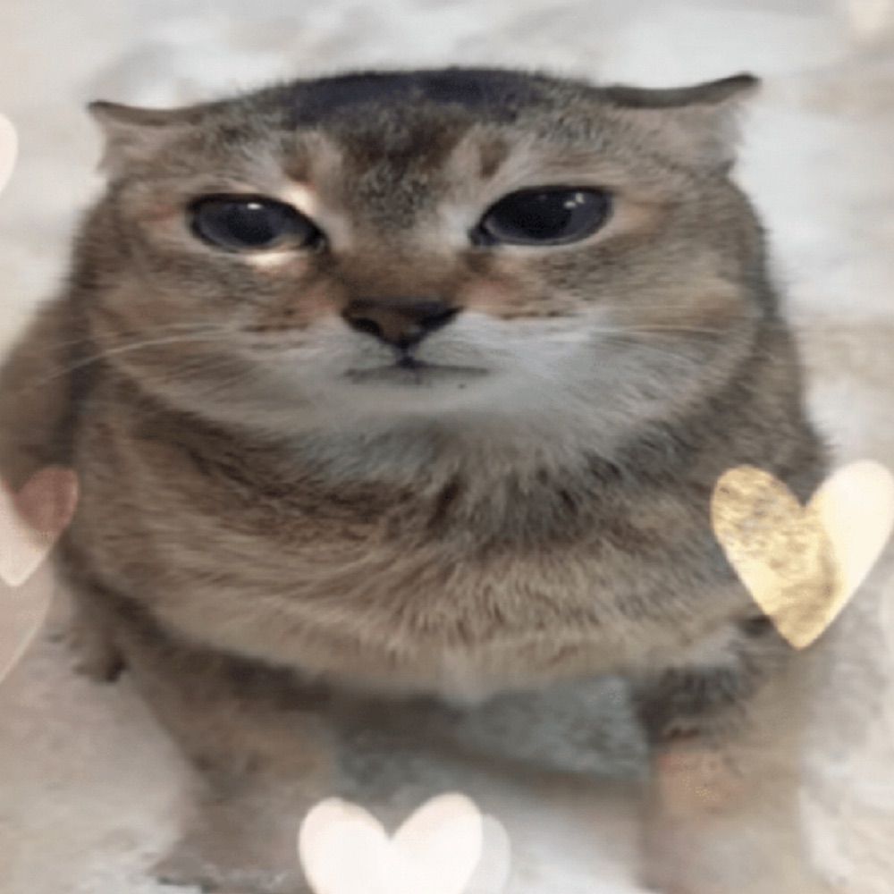 :3