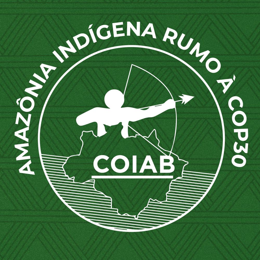 Joint Coordination of Indigenous Organizations of the Brazil