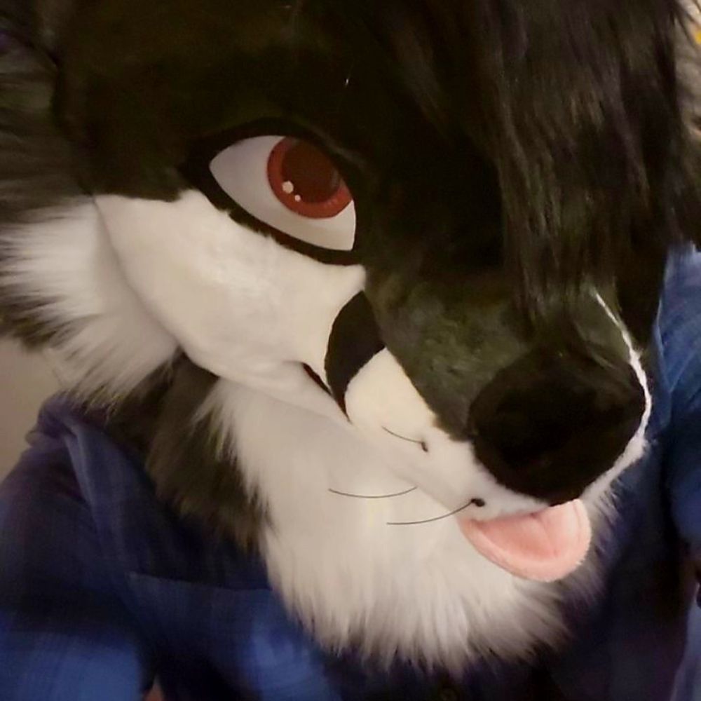 DarkFox