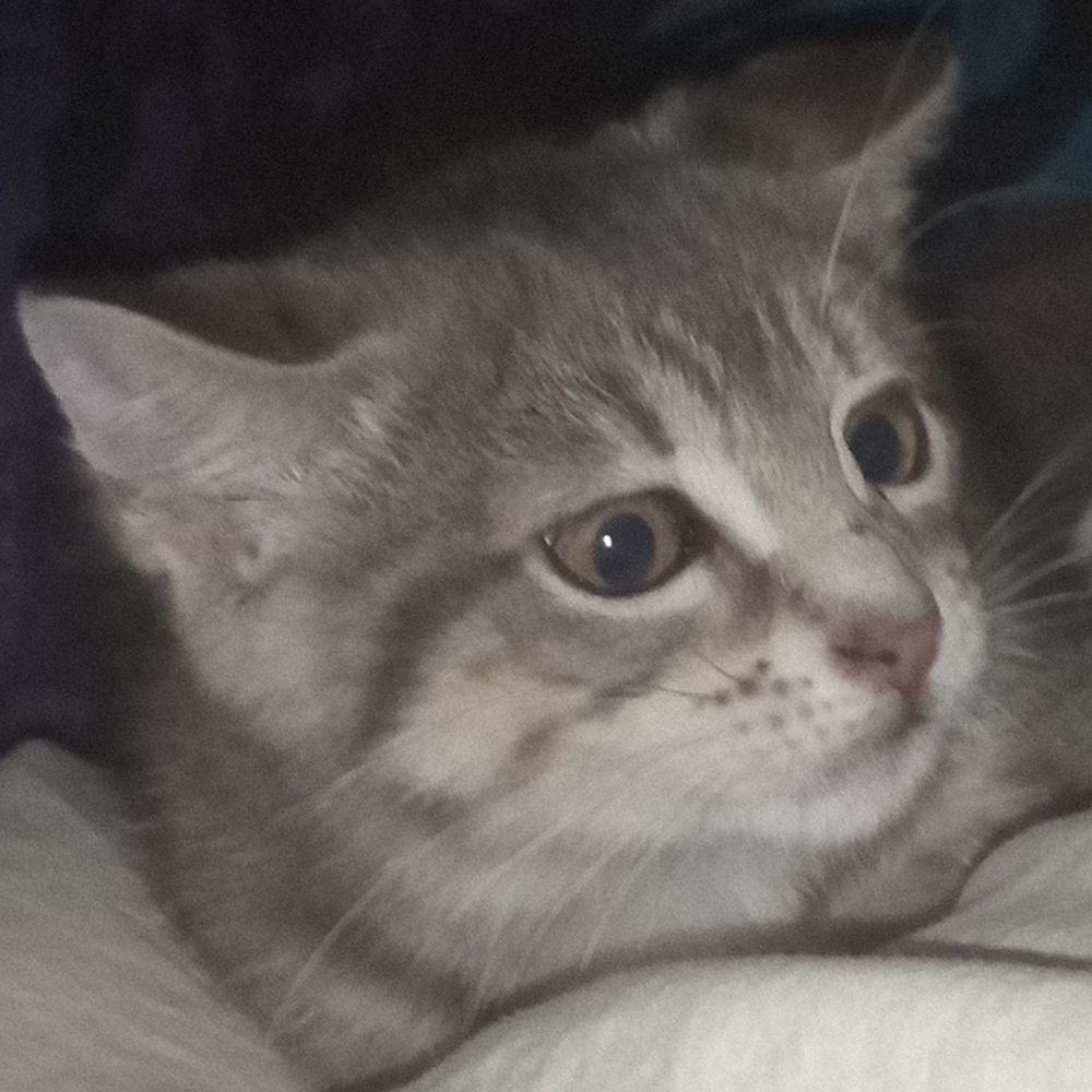 Létubio