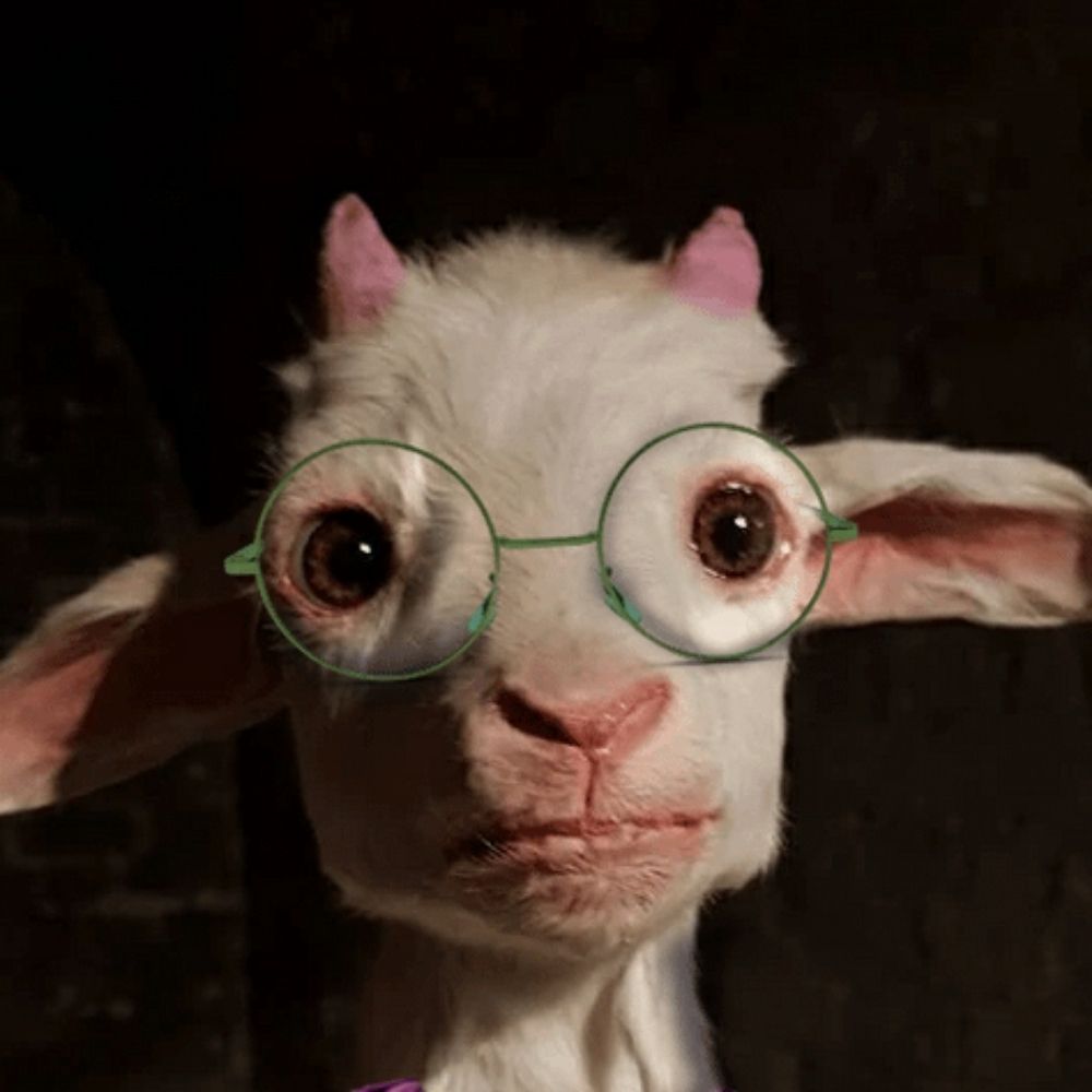 Tiny Goat Boy