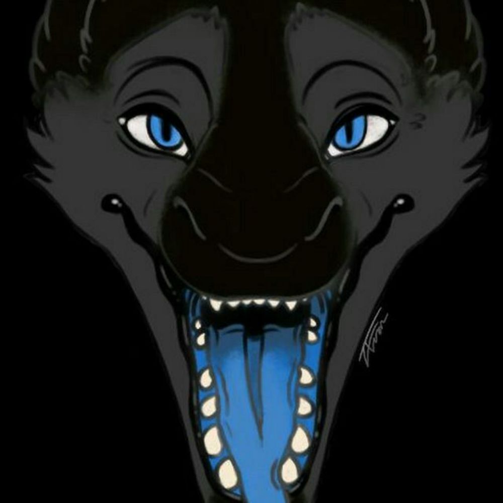 Alittle Husky