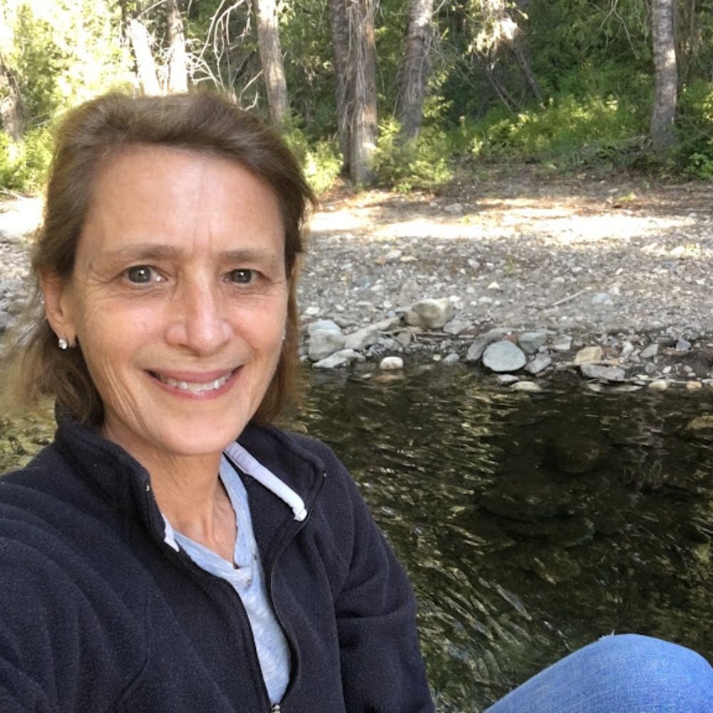 Lisa Kapp