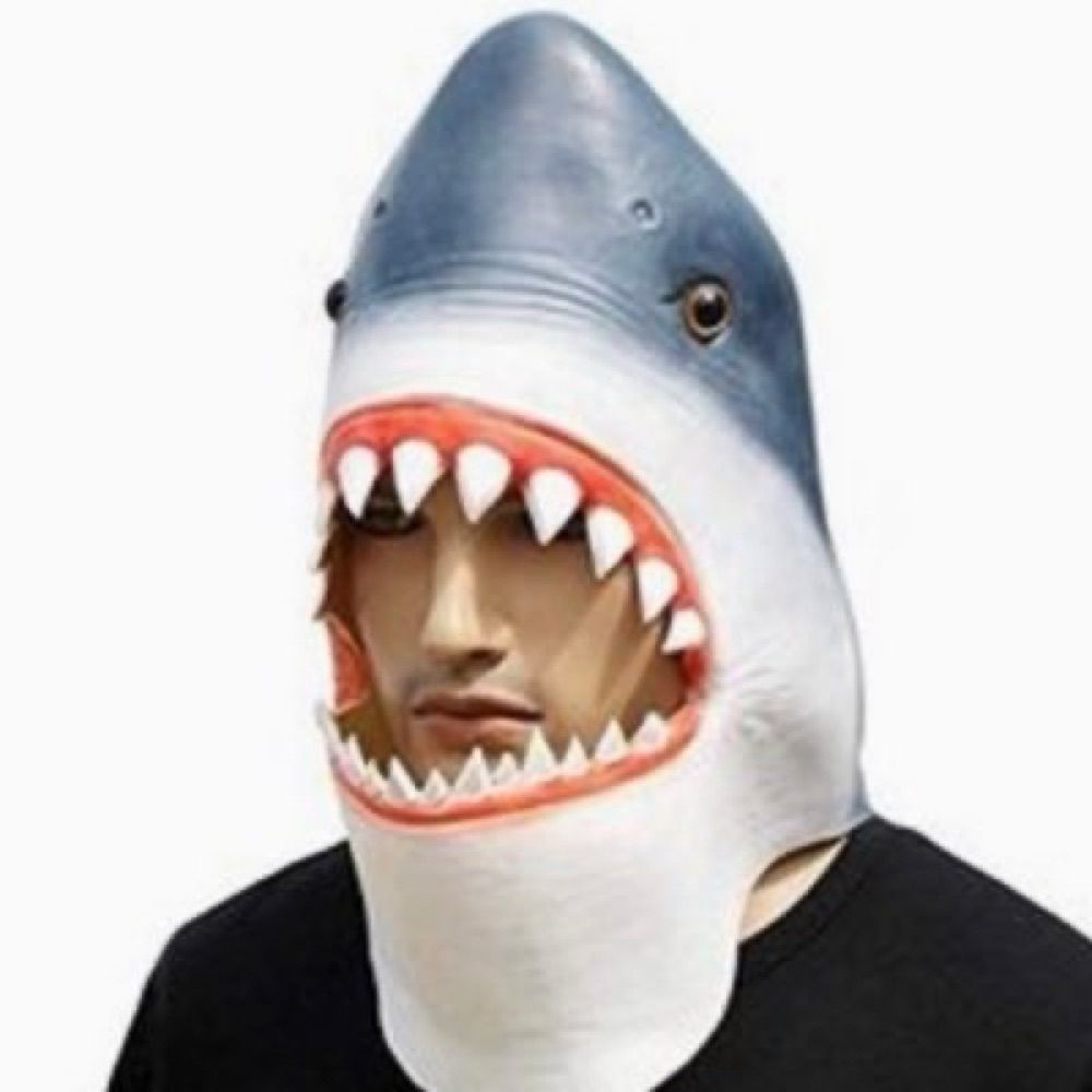 오마카세상어
