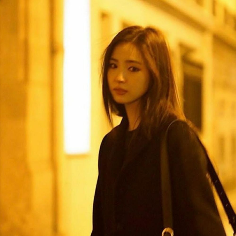 다이앤뽕따