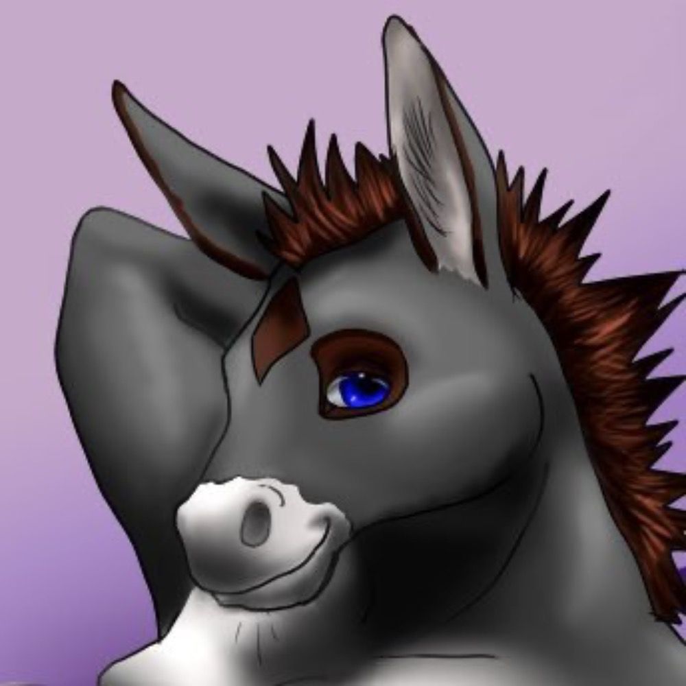 DonkeyDude