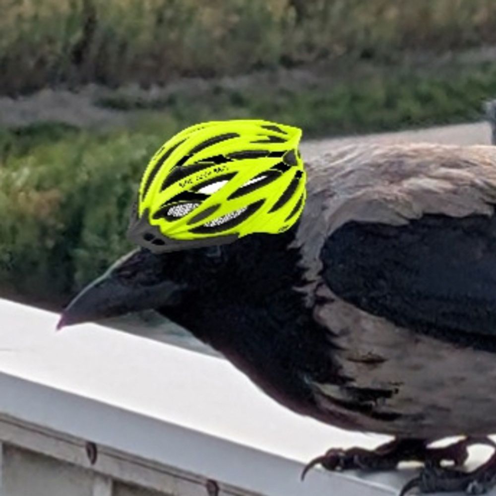 die quati