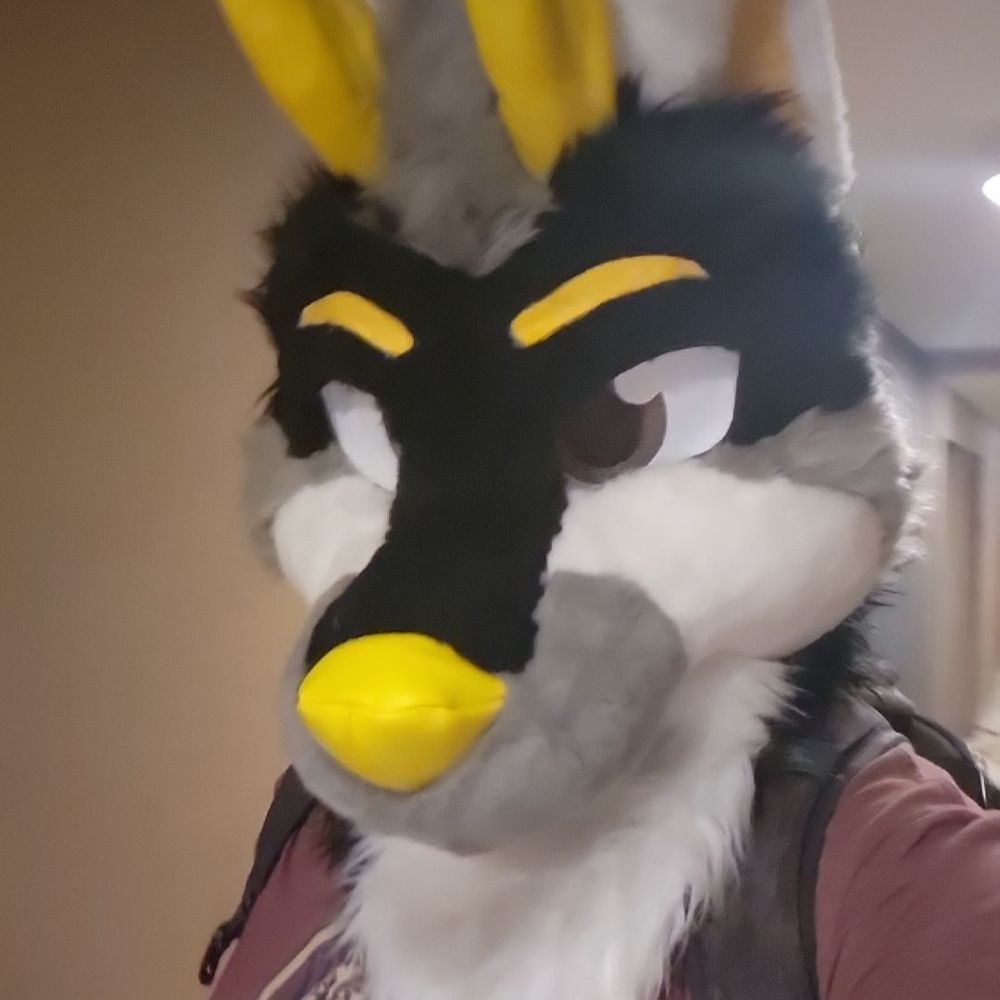 Dart The Dolf