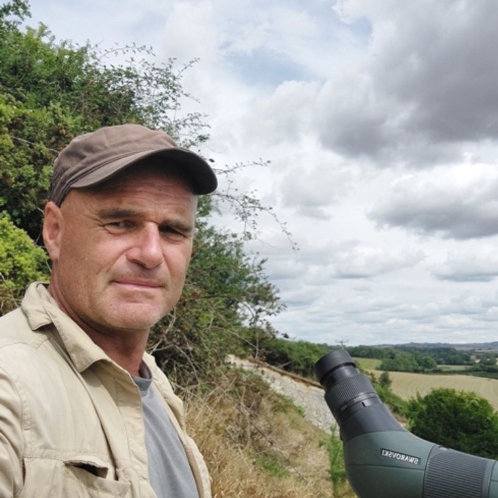 Dorset Bird Tours