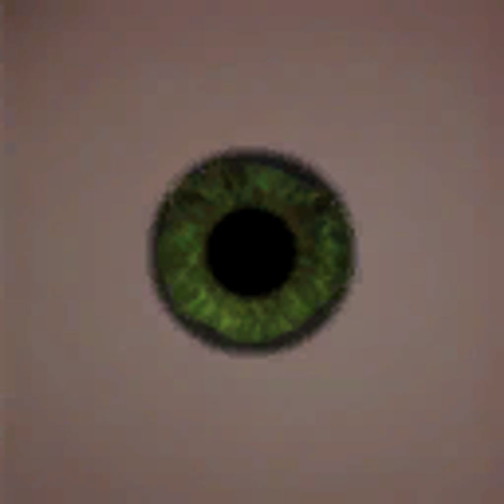 burrsoft