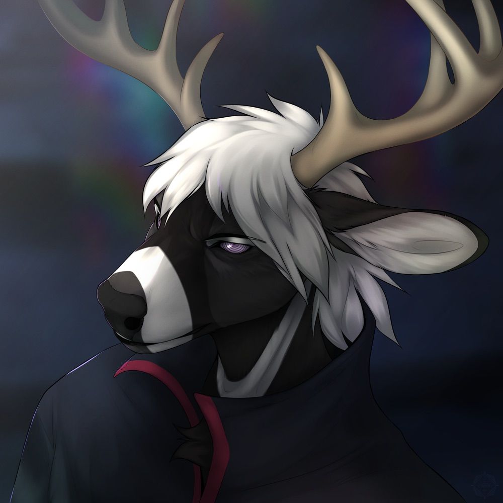 🇨🇦Rago Durr🇨🇦