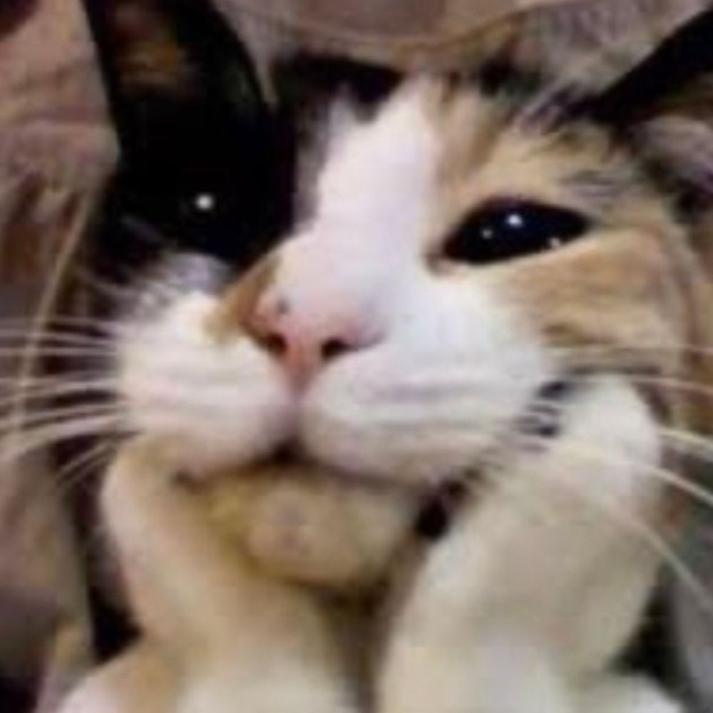 момо