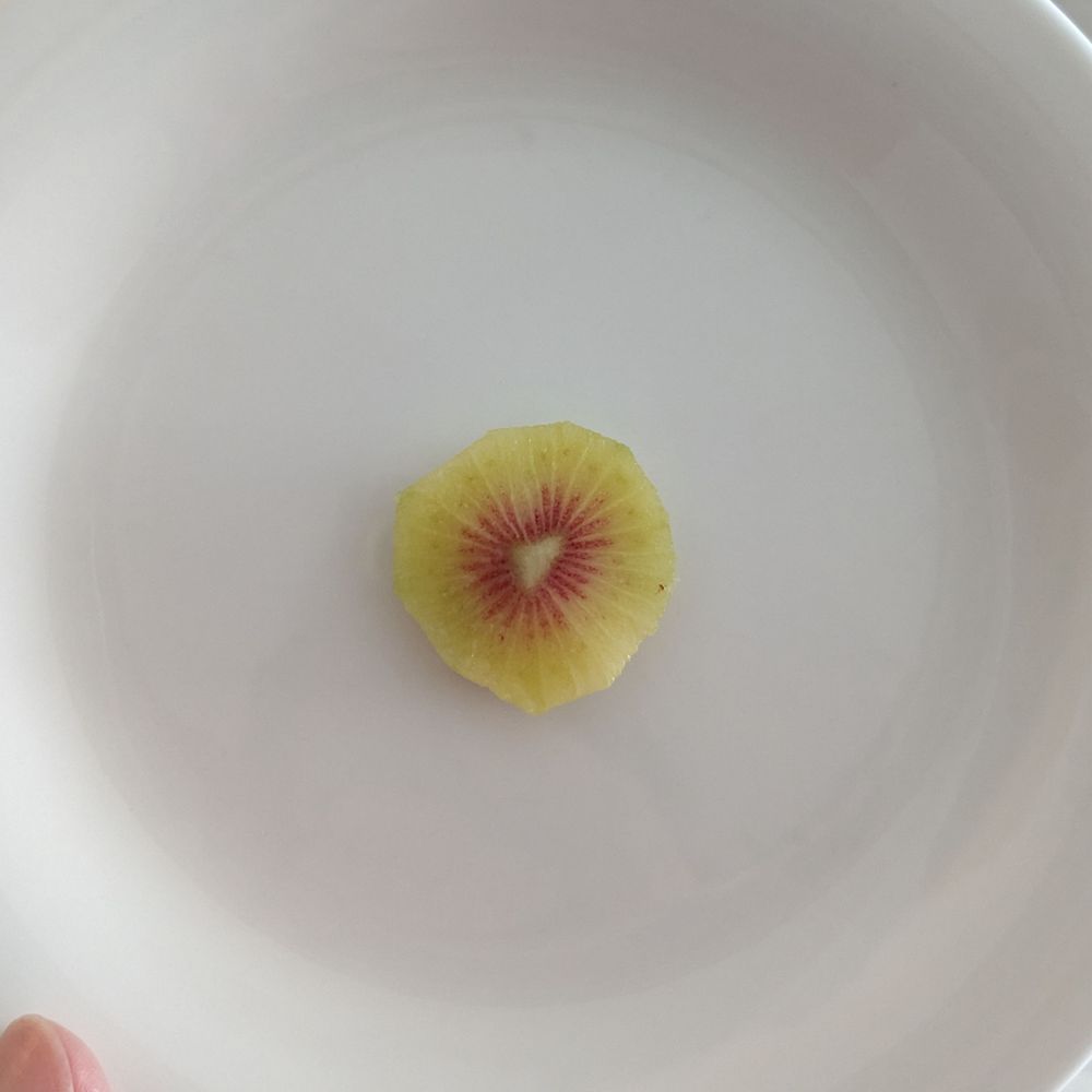 まろちむ