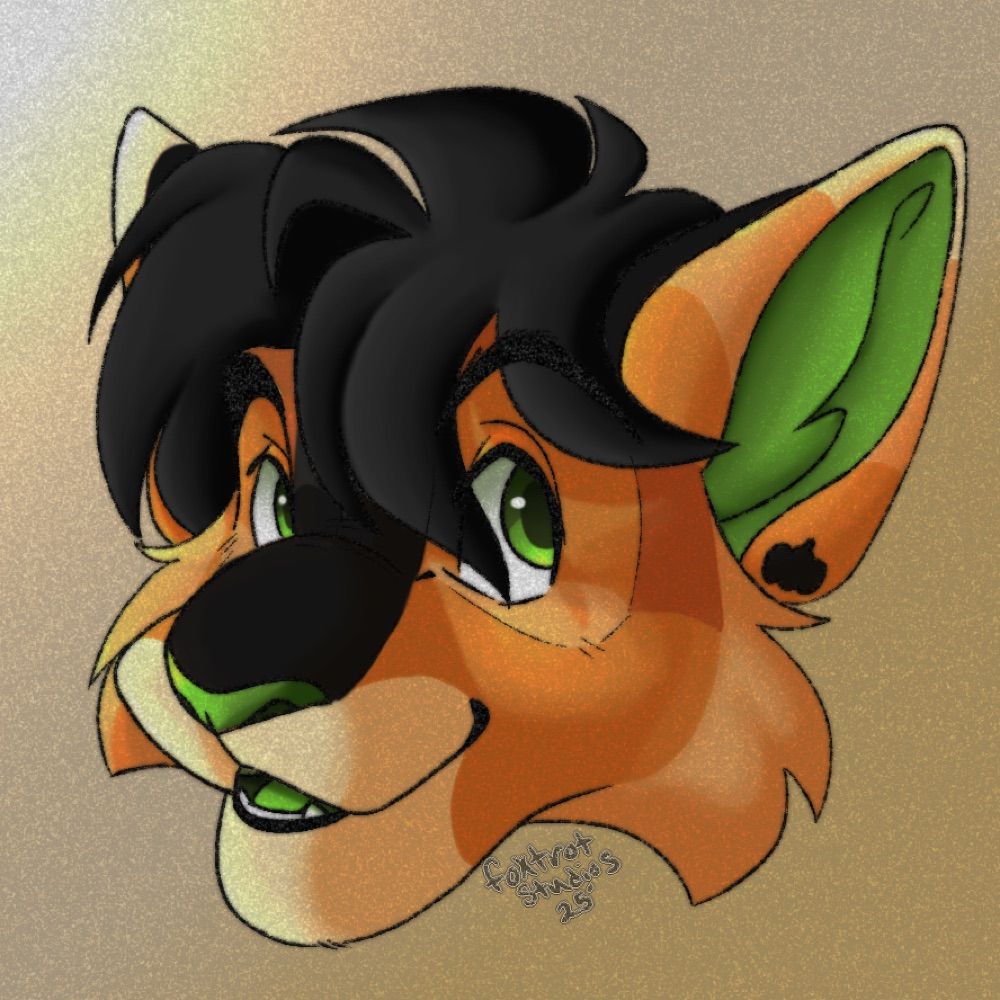 FoxtrotStudios Adopt Acc
